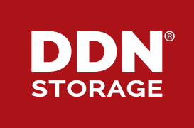 DDN Storage